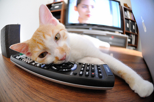 亚洲魔术师的加冕礼,李刚仁压制级演出,令塞维利亚与厄瓜多尔尖刀同时窒息