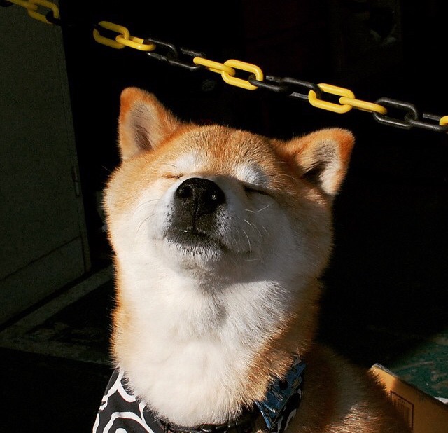 孤岛英雄,当欧文的火焰点燃了广厦的冷夜