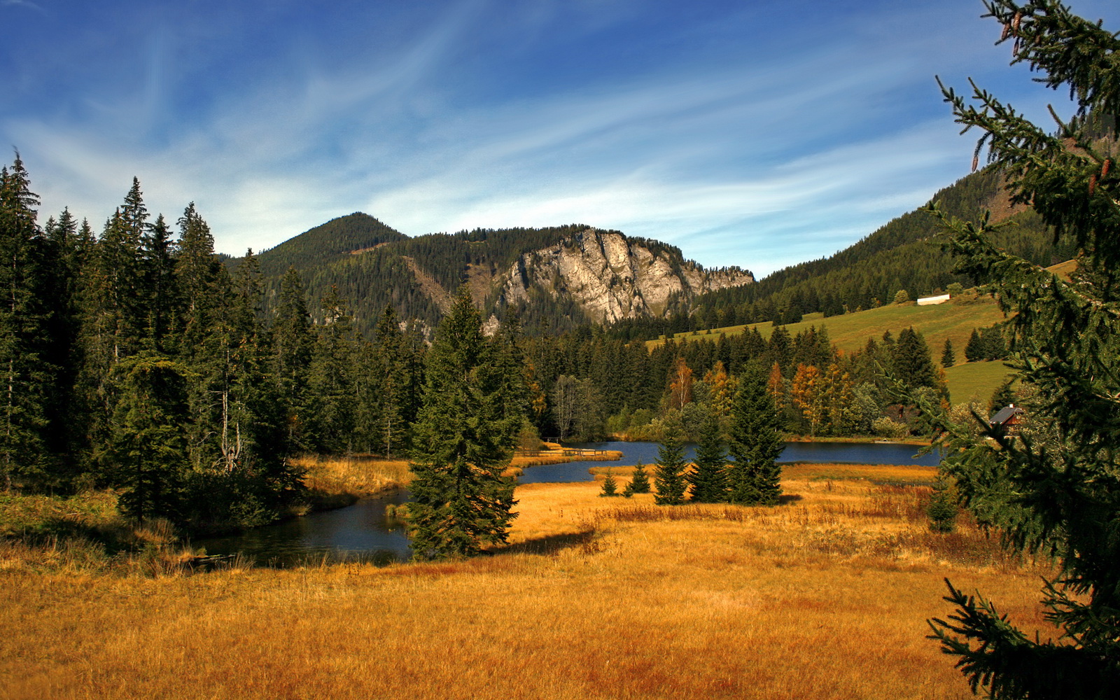 两种篮球未来,浙江队如何以节奏勇士智慧,映照字母哥的接管艺术